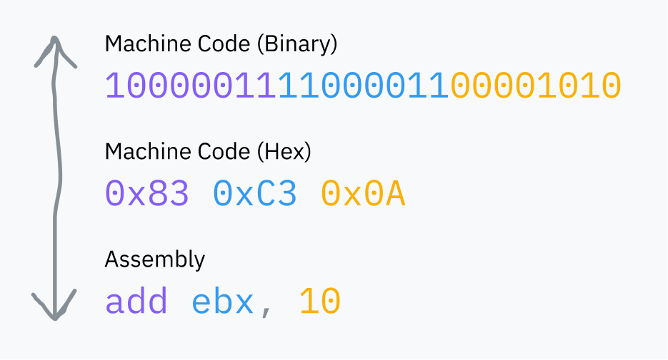 assembly-to-machine-code-translation